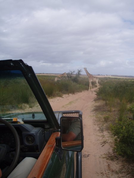 KeHa_in_South_Africa - 217